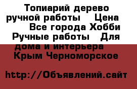 Топиарий-дерево ручной работы. › Цена ­ 900 - Все города Хобби. Ручные работы » Для дома и интерьера   . Крым,Черноморское